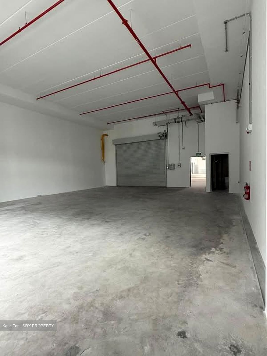 Ct Foodnex (D25), Factory #590446661